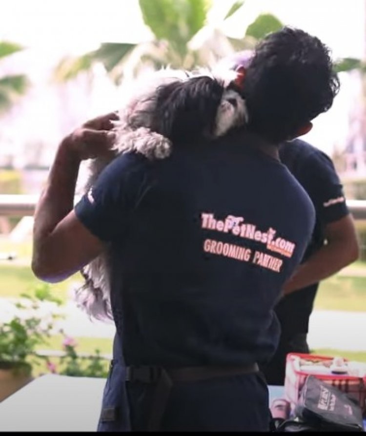 ThePetnest: The perfect home of care for your pets